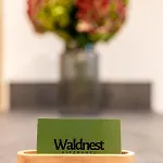 Waldnest Daire Kitzbühel