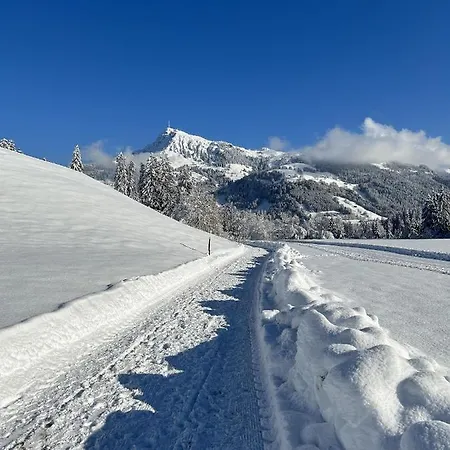 Waldnest Апартаменты Кицбюэль